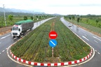 Những ruộng dứa xuất hiện trên đại lộ 2.000 tỷ đồng ở Ninh Bình