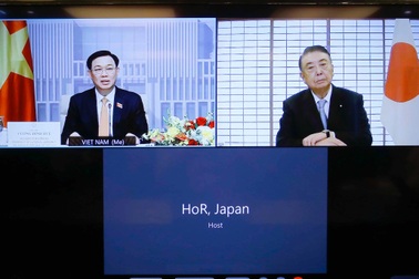 Nhật cam kết tiếp tục hỗ trợ Việt Nam thực hiện "Chiến lược vắc xin"