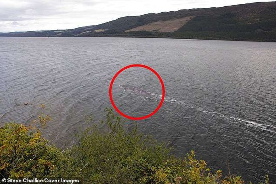 Hình ảnh rõ nét mới nhất về “quái vật” hồ Loch Ness? - 1 Hình ảnh rõ nét mới nhất về “quái vật” hồ Loch Ness? - 1
