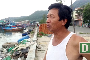 Ngư dân Khánh Hòa hối hả chằng chống tàu thuyền, chạy bão số 12