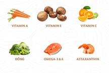 Dinh dưỡng cho làn da khỏe và đẹp như ý, không cần mỹ phẩm đắt tiền