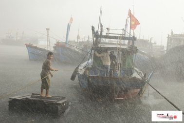 Ngắm loạt bức ảnh đoạt giải cuộc thi sáng tác ảnh nhanh tại Đà Nẵng