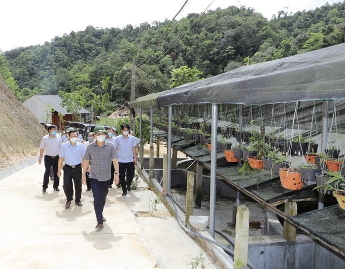 Huyện Lang Chánh (Thanh Hoá): Phát triển kinh tế gắn với An sinh xã hội - Ảnh 3.