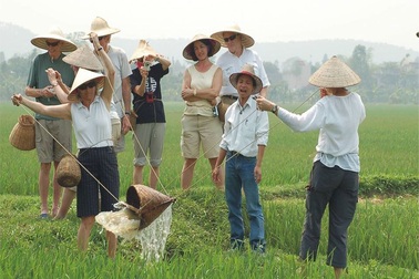 Khách Tây đến Ninh Bình “mê” làm… nông dân