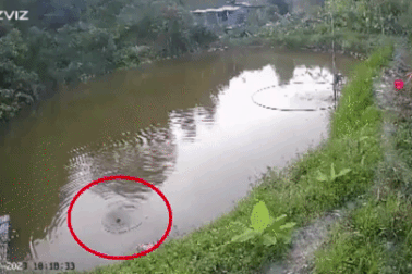 Hai cảnh sát vượt rào thép gai lao xuống ao cứu bé trai 4 tuổi