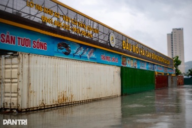 "Phong cách" chống bão quyết liệt của người dân Hạ Long