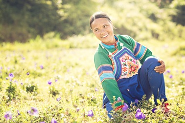 Đến Bắc Hà mùa thu đắm say với sắc tím trên cánh đồng Cát cánh