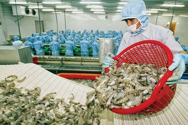 Thủ tục nhập khẩu 1 lô hàng gia vị tốn… 1,5 tháng