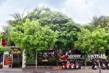 Hành trình đi tìm công lý vụ án 175 Nam Kỳ Khởi Nghĩa