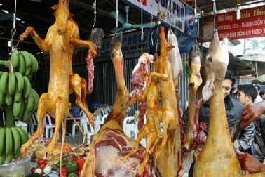 Công chức không được sử dụng động vật hoang dã nguy cấp hoặc dùng làm quà biếu