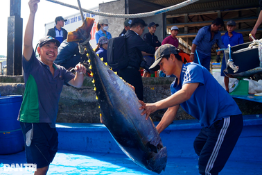 Chống đánh bắt trái phép sẽ làm thay đổi cả ngành thủy sản Việt Nam
