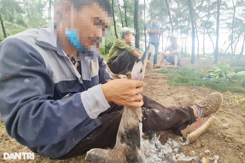 Tận diệt chim trời, nướng ngay trong rừng - 4 Tận diệt chim trời, nướng ngay trong rừng - 4