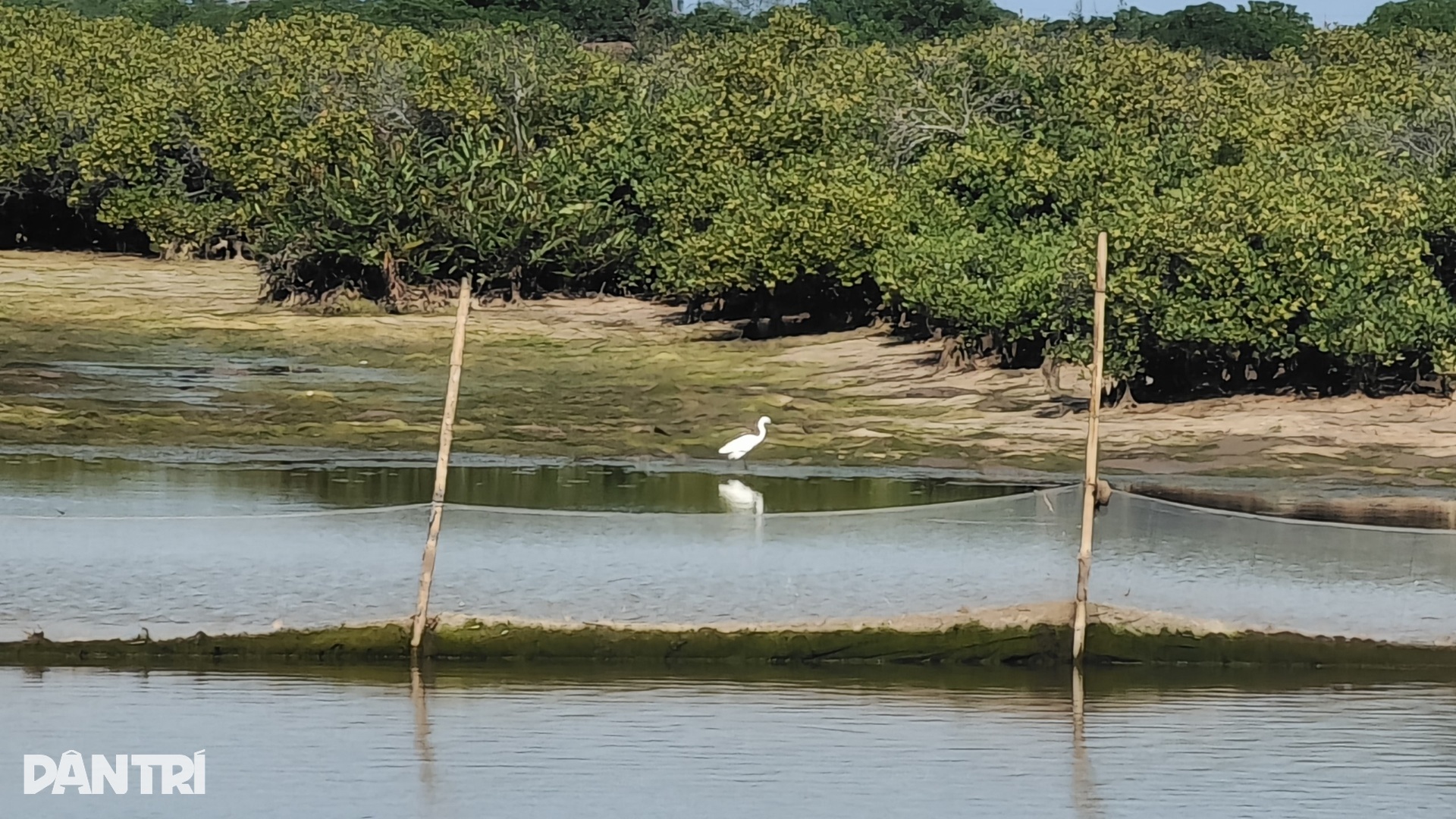 Ngắm khu bảo tồn thiên nhiên có thể bị thu hẹp để xây đô thị, sân golf - 10