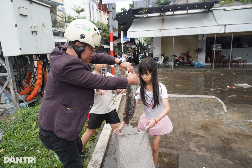 Sau mưa ngập, người Đà Nẵng mang rổ ra phố... bắt cá - 8 Sau mưa ngập, người Đà Nẵng mang rổ ra phố... bắt cá - 8