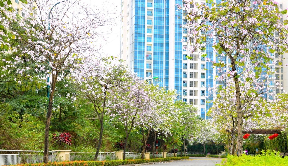 TheLINK345 Ciputra Hanoi - Căn hộ ở ngay, nội thất trao tay lên tới 380 triệu đồng - 1 TheLINK345 Ciputra Hanoi - Căn hộ ở ngay, nội thất trao tay lên tới 380 triệu đồng - 1