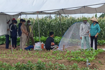 3 mẹ con nữ giáo viên tử vong trên sông, một bé được địu trên lưng mẹ