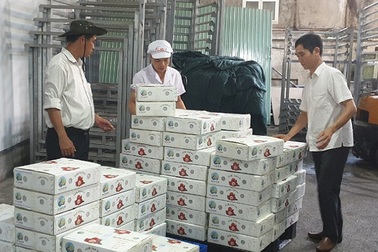 Nghịch lý: Phí vận chuyển nội địa đắt hơn đi Mỹ, Pháp