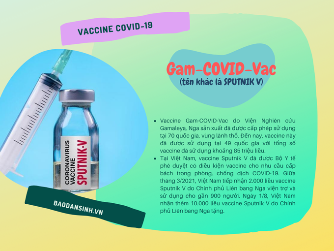 Các loại vaccine đã được cấp phép tại Việt Nam - Ảnh 2.