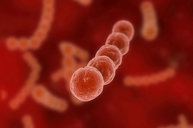 Liên cầu khuẩn gây suy thận cấp ở trẻ em như thế nào?