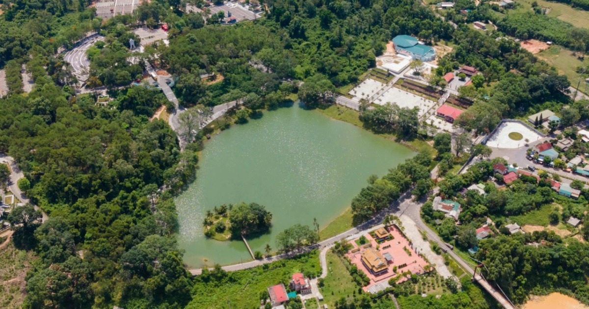 dantri.com.vn