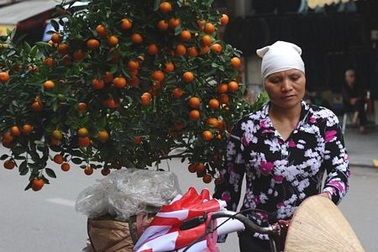 Không khí Tết ngập tràn khắp châu Á