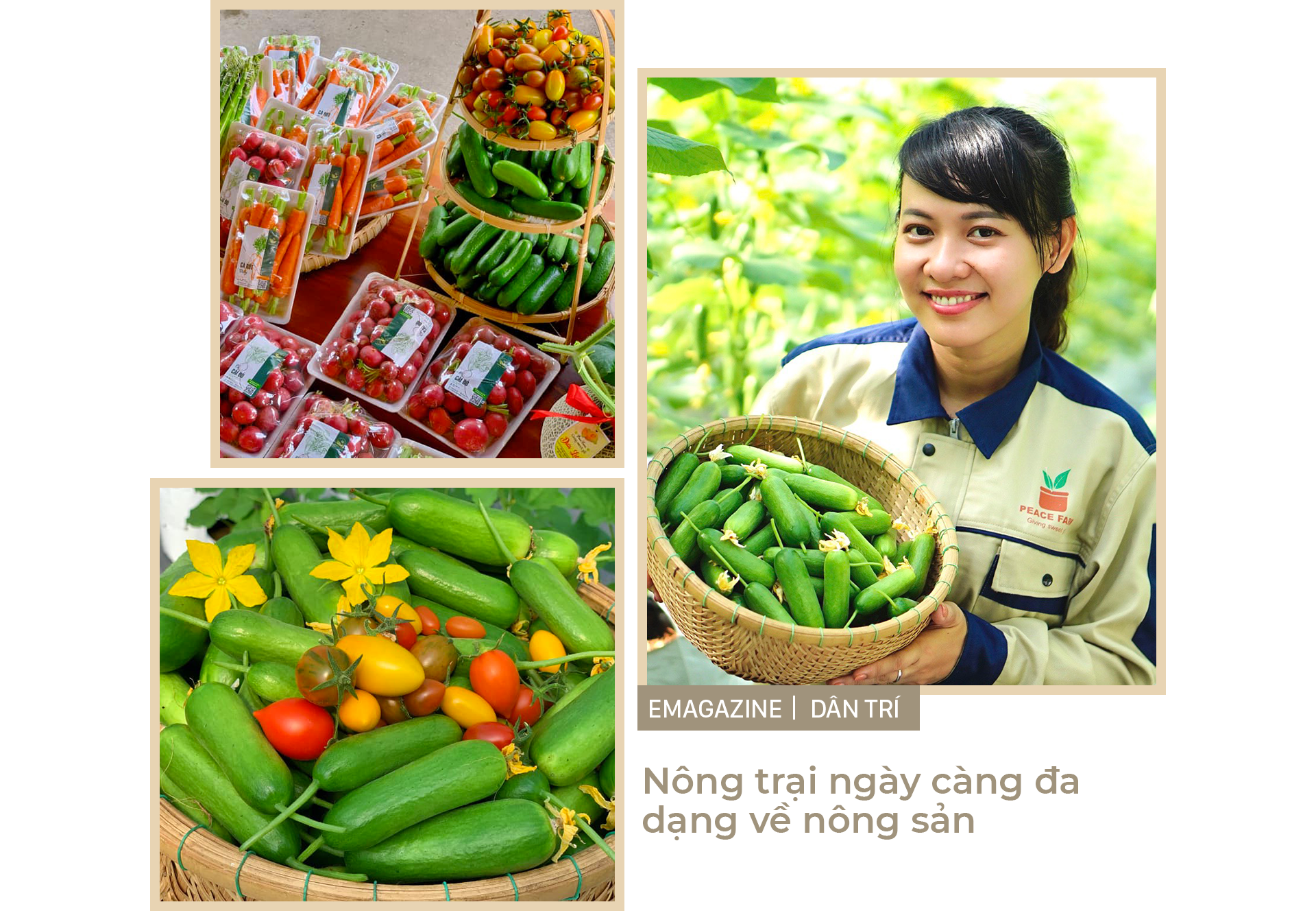 Nữ thạc sỹ xinh đẹp rời phòng lạnh về làm nông dân trồng dưa sạch - 6 Nữ thạc sỹ xinh đẹp rời phòng lạnh về làm nông dân trồng dưa sạch - 6