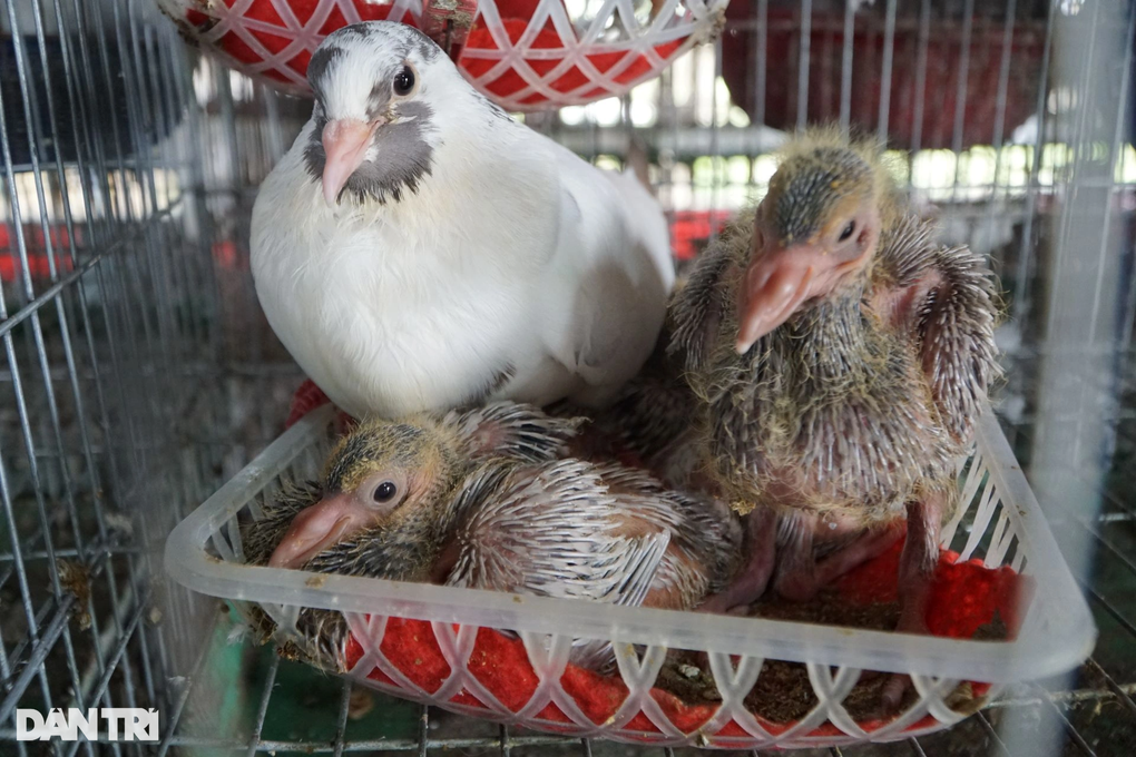 Người đàn ông gây bất ngờ từng là con nợ của cả làng - 2 Người đàn ông gây bất ngờ từng là con nợ của cả làng - 2