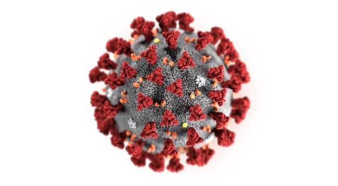 Hoa Kỳ báo cáo trường hợp lây truyền virus corona từ người sang người đầu tiên: WHO lên tiếng "lo ngại nghiêm trọng" về sự lây lan virus từ người sang người ở ngoài Trung Quốc - Ảnh 2. Hoa Kỳ báo cáo trường hợp lây truyền virus corona từ người sang người đầu tiên: WHO lên tiếng "lo ngại nghiêm trọng" về sự lây lan virus từ người sang người ở ngoài Trung Quốc - Ảnh 2.