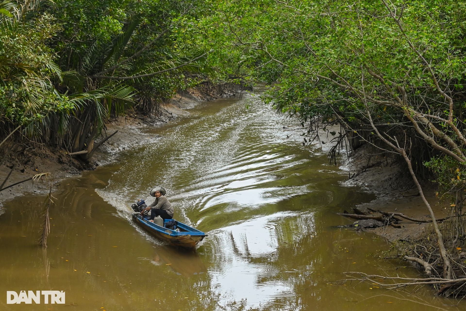 Cận cảnh rừng phòng hộ Cần Giờ được đề cử thành khu Ramsar thế giới - 11 Cận cảnh rừng phòng hộ Cần Giờ được đề cử thành khu Ramsar thế giới - 11