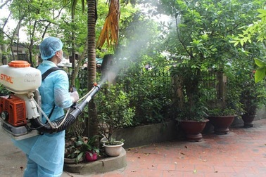 Khánh Hòa: Hơn 1.900 ca sốt xuất huyết, tăng cường diệt lăng quăng, bọ gậy