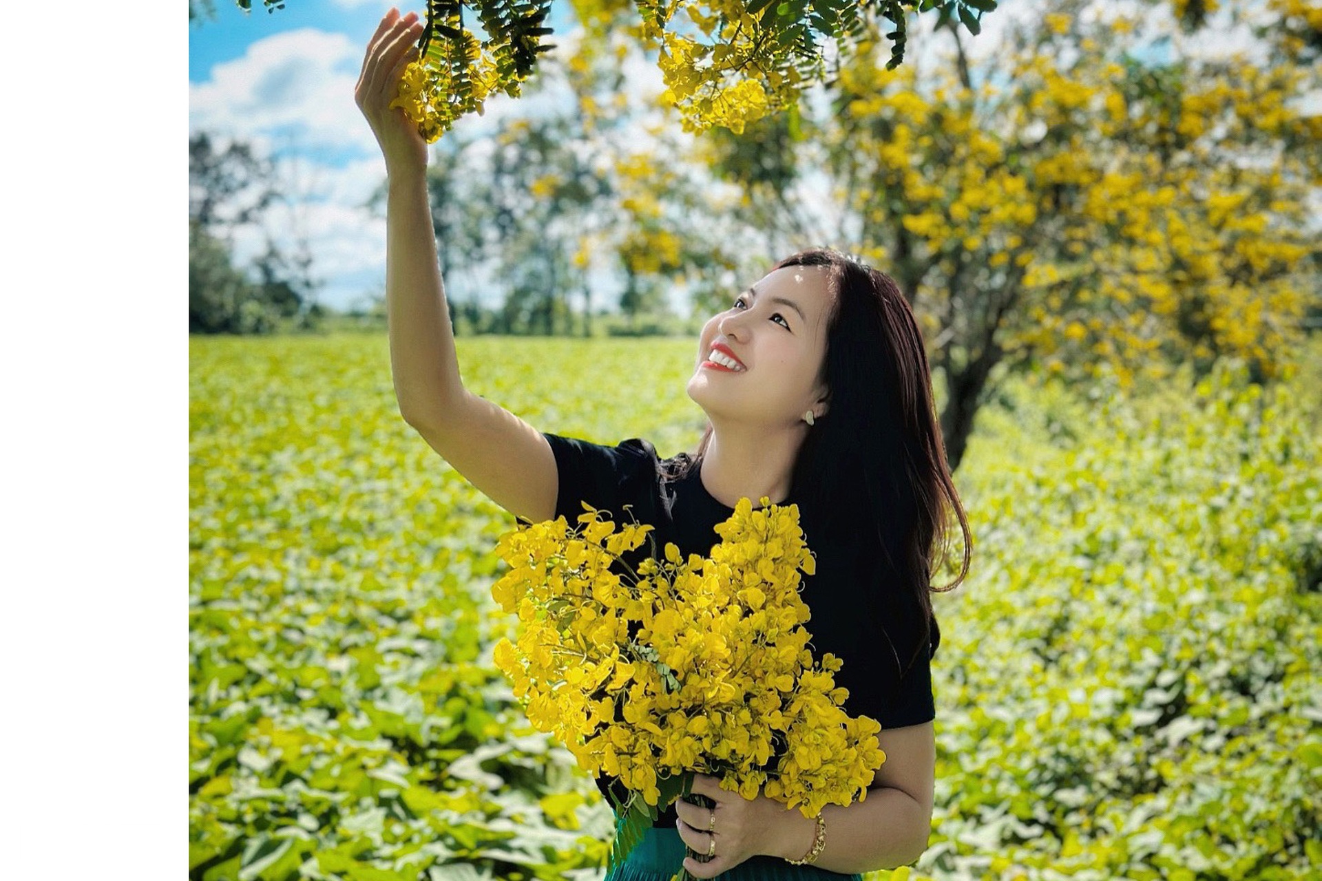 Ngắm mùa hoa muồng nhuộm vàng đồi chè ở Gia Lai - 14