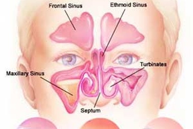 Ngừa viêm xoang tái phát khi thời tiết chuyển mùa