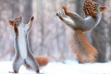 Những hình ảnh khoa học, thiên nhiên ấn tượng tuần qua