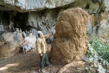 Cả làng bảo vệ tổ mối cao hơn 2m, không ai dám xâm hại