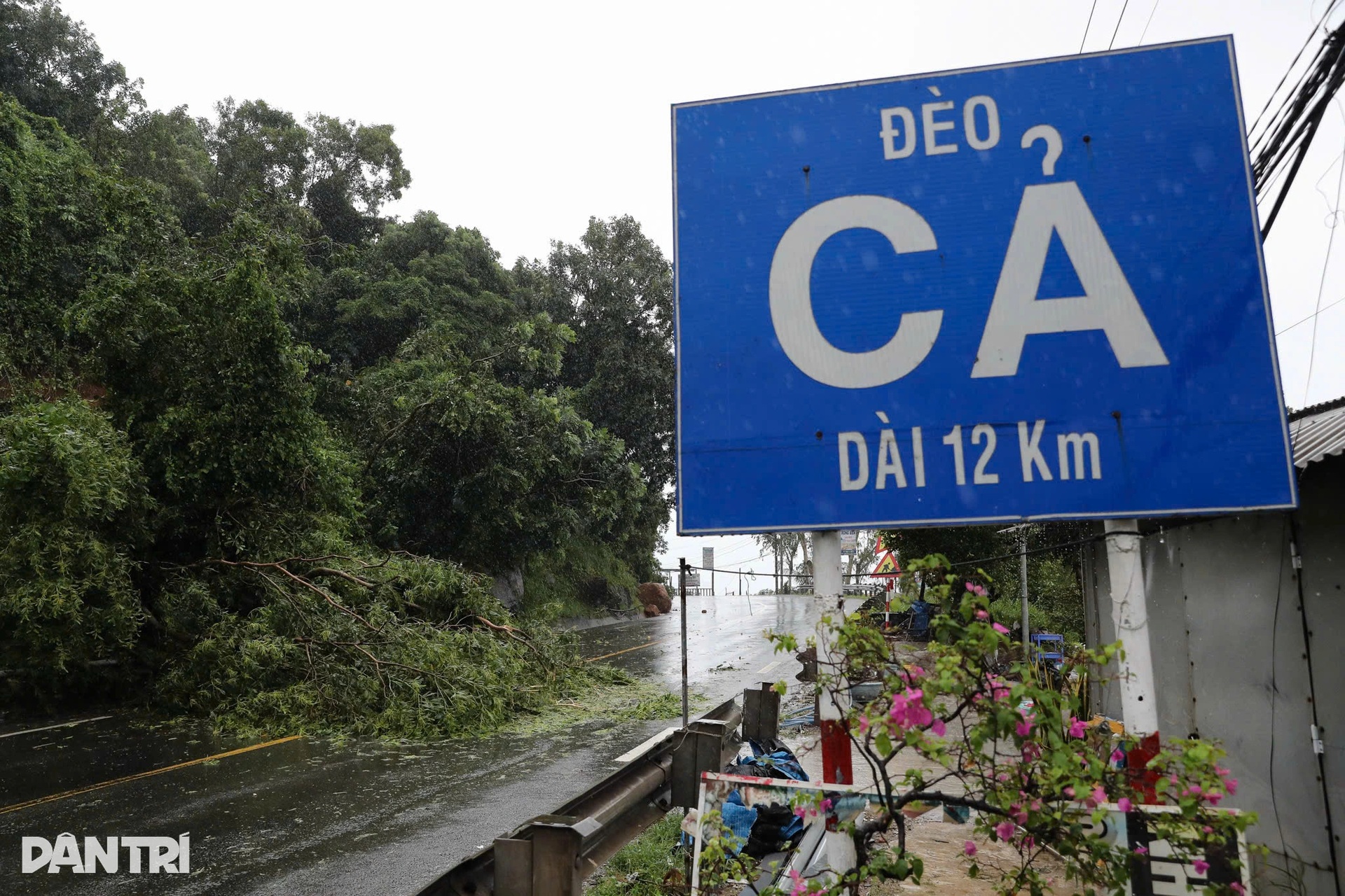 Sạt lở tại Đèo Cả: 2 chị em thiệt mạng, hàng nghìn phương tiện mắc kẹt - 7