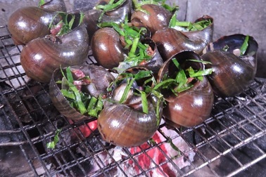 Viêm màng não vì ăn ốc tái chanh