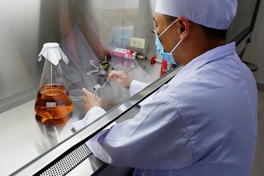 Bảo vệ sức khỏe với dịch uống bào tử linh chi tươi