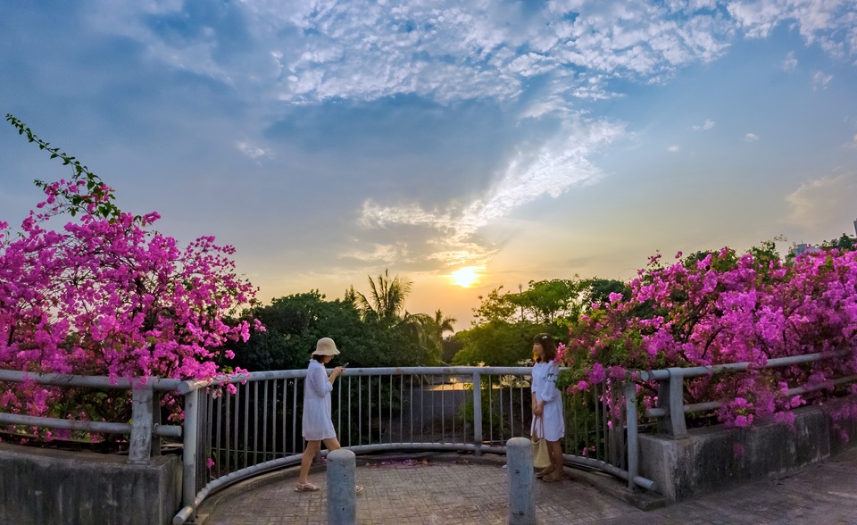 Phát sốt” với con đường hoa giấy đẹp quên lối về ngay gần Hà Nội - 9 Phát sốt” với con đường hoa giấy đẹp quên lối về ngay gần Hà Nội - 9