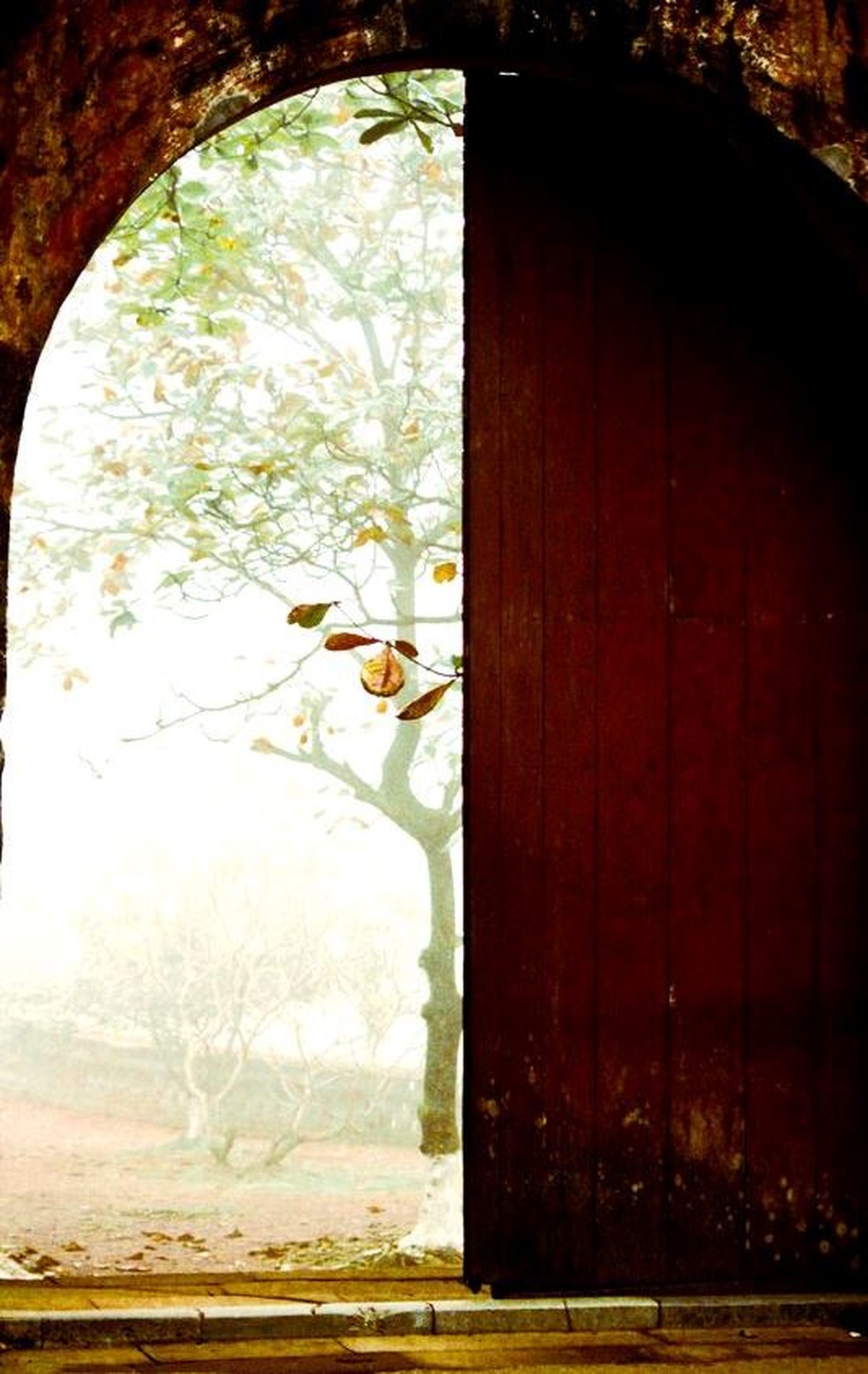 Chầm chậm mùa đông xứ Huế gây nhớ thương - 13