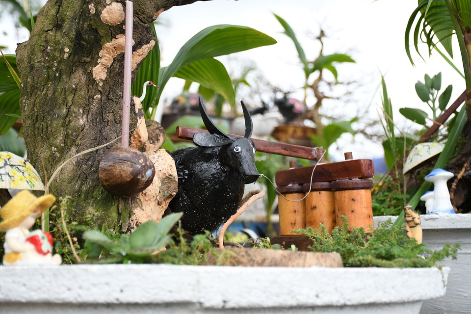 Độc đáo bonsai dừa hình trâu thu hút khách Tết Tân Sửu - 5 Độc đáo bonsai dừa hình trâu thu hút khách Tết Tân Sửu - 5
