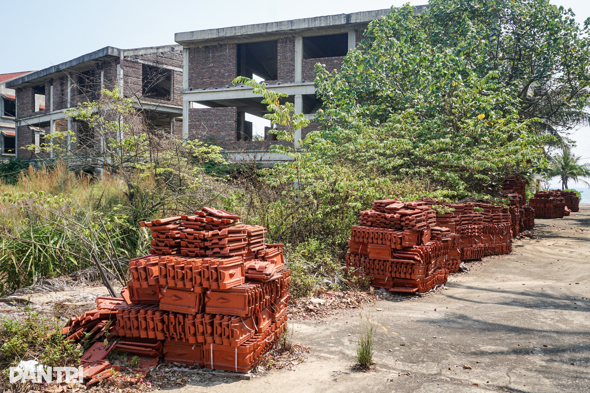 Loạt biệt thự ở dự án trăm triệu USD bỏ hoang ven biển Đà Nẵng - 12 Loạt biệt thự ở dự án trăm triệu USD bỏ hoang ven biển Đà Nẵng - 12