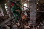 Bên trong nơi huấn luyện những quân khuyển từng làm nhiệm vụ tại Venezuela