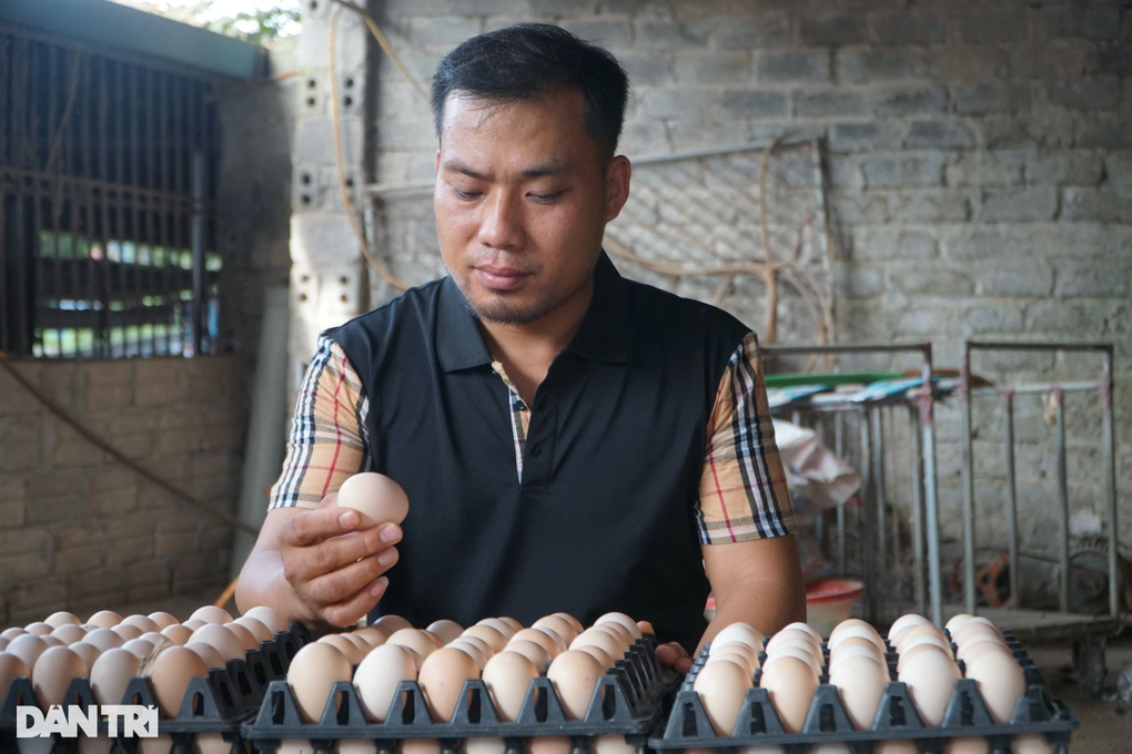 Rời Hà Nội về quê nuôi gà, chàng trai trẻ kiếm 100 triệu đồng mỗi tháng - 2 Rời Hà Nội về quê nuôi gà, chàng trai trẻ kiếm 100 triệu đồng mỗi tháng - 2