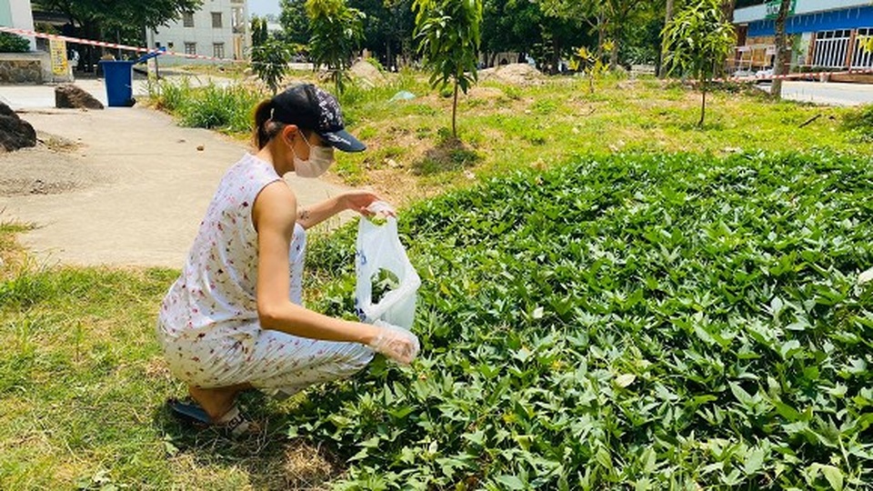 Siêu mẫu Võ Hoàng Yến hái rau lang “cải thiện” bữa ăn ở khu cách ly - 4 Siêu mẫu Võ Hoàng Yến hái rau lang “cải thiện” bữa ăn ở khu cách ly - 4