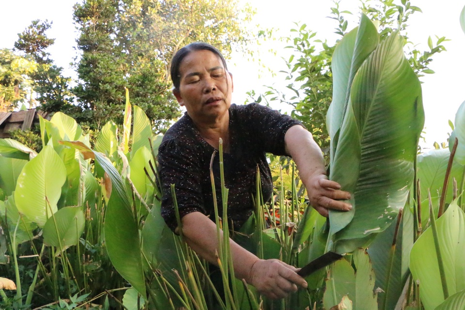 Chạy đua với thời gian để gói hơn 10.000 chiếc bánh chưng kịp Tết - 3 Chạy đua với thời gian để gói hơn 10.000 chiếc bánh chưng kịp Tết - 3