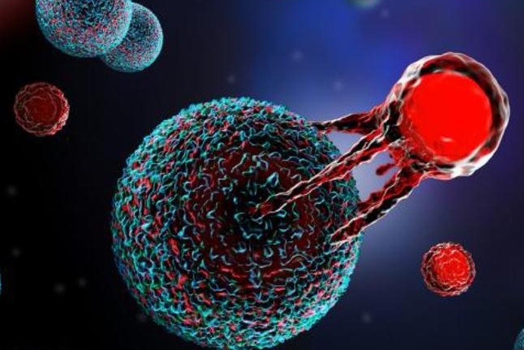 Bác sĩ bệnh viện tuyến cuối nói gì về liệu pháp CAR-T cell trị ung thư máu? - 3 Bác sĩ bệnh viện tuyến cuối nói gì về liệu pháp CAR-T cell trị ung thư máu? - 3
