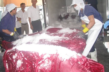 Cá ngừ Việt Nam xuất Nhật tạm ngưng do chưa đạt chuẩn