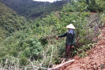 Lạng Sơn: Bị khởi tố tội “Huỷ hoại rừng” khi canh tác trên chính mảnh đất được giao