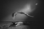 Giải mã bí ẩn về thí nghiệm thoát xác