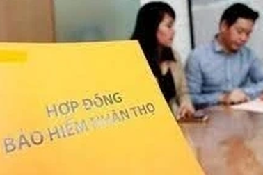 Nếu công ty bảo hiểm phá sản, ai sẽ bảo vệ người mua?